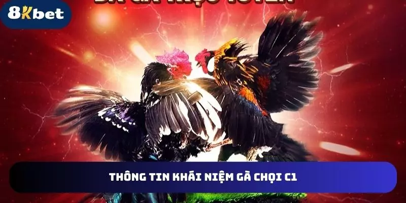 gà đá đòn khái niệm 