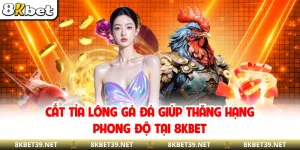 Cắt Tỉa Lông Gà Đá Giúp Thăng Hạng Phong Độ Tại 8KBET