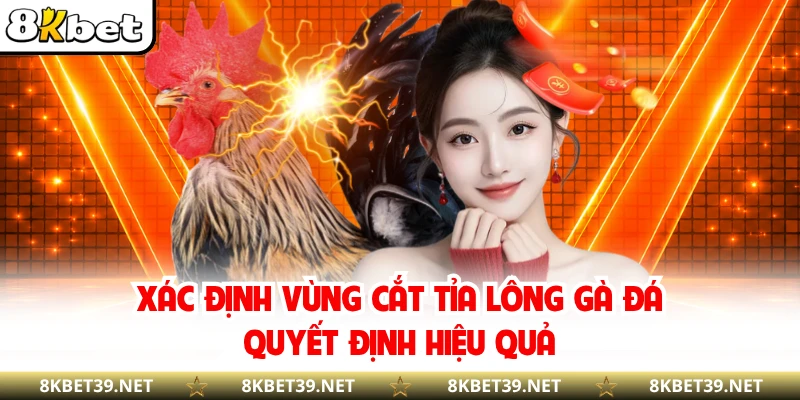 Xác định vùng cắt tỉa lông gà đá quyết định hiệu quả
